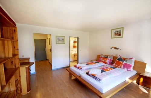 Niederau Apartamento | Auhof