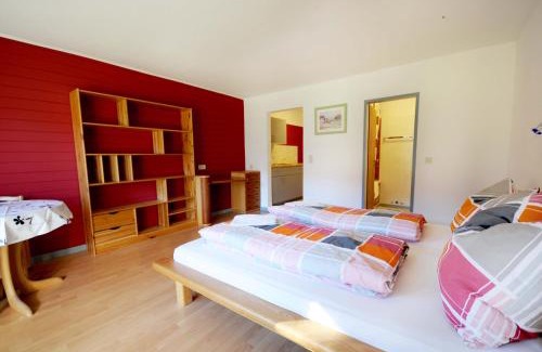 Niederau Apartamento | Auhof