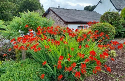 Trecastle Casa | Auld Ffynnon