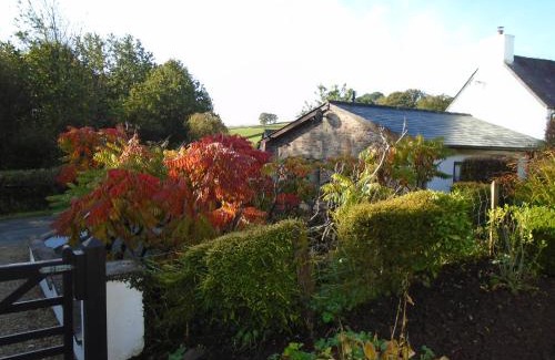 Trecastle Casa | Auld Ffynnon