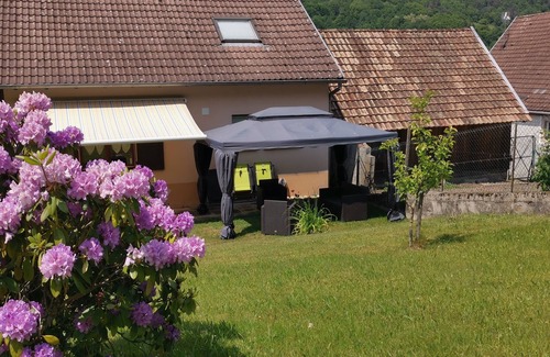Luttenbach-pres-Munster Casa | Auntie's house sleeps 4.