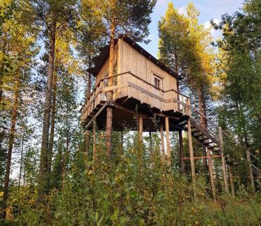 Arvidsjaur Otro | Aurora Lodge