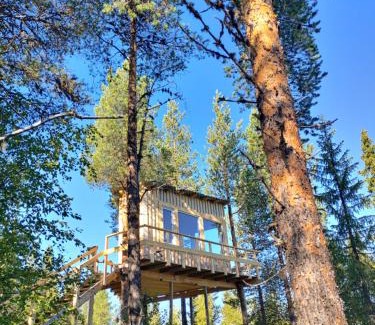 Arvidsjaur Otro | Aurora Lodge