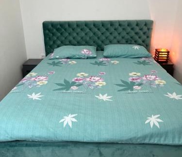 Kragujevac Apartamento | Aurora