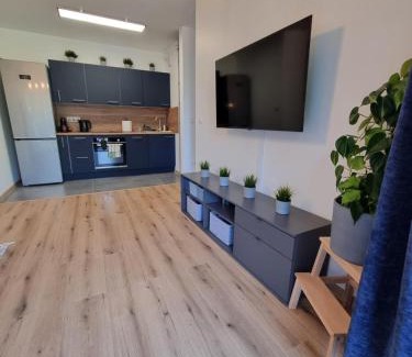Oswiecim Apartamento | Aurum Apartment