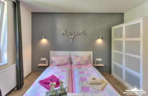 Mandelholz Apartamento | Auszeit-im-Harz Haus 2 Wohnung 4