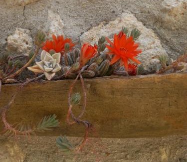 Tolfa Apartamento | Autenticum Agriturismo Tolfa