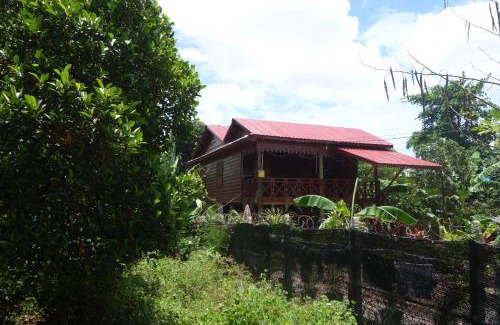 Siem Reap Casa | Authentic Cambodian Angkor Cottage