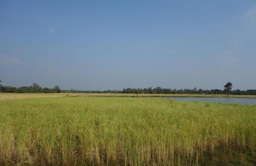Siem Reap Casa | Authentic Cambodian Angkor Cottage