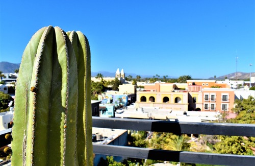 Downtown San Jose del Cabo Condominio | Authentic & Cozy Condo in Downtown San Jose