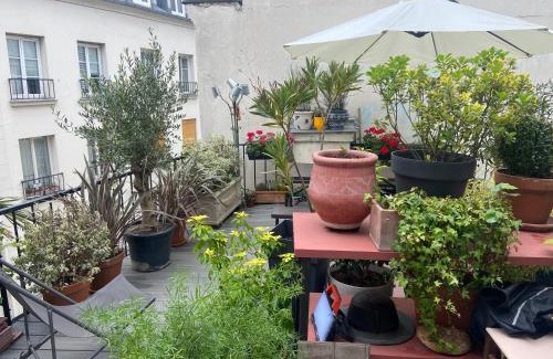 Strasbourg -Saint-Denis Apartamento | Aux Terrasses de la Lune