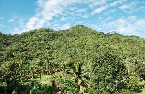 Ngatangiia Apartamento | Avana Valley Heights