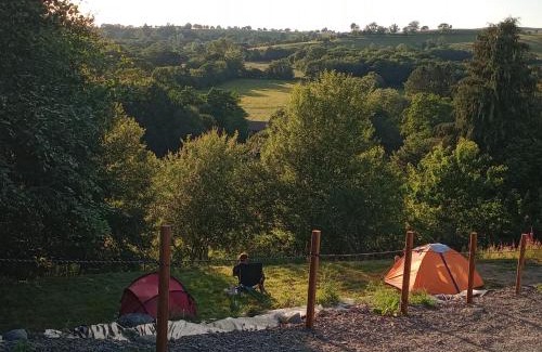 Llandovery Casa | Avandale Hut