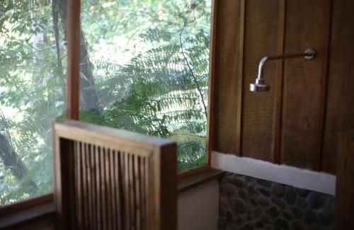 Pacuare River Cabina | Ave Sol River Sanctuary