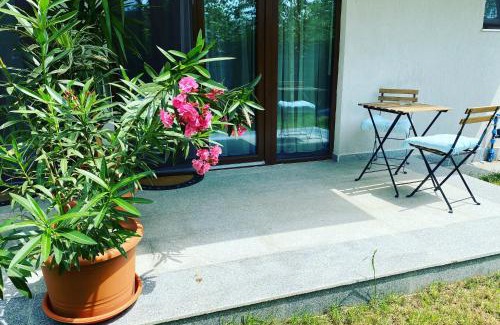 Otopeni Apartamento | Aviator Boutique Residence