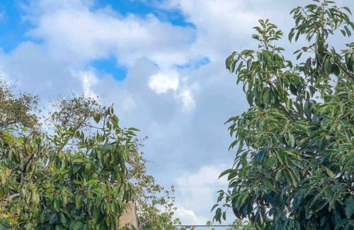Camarillo Apartamento | AGUACATE ACRES APT w / Artículos de desayuno y WiFi rápido