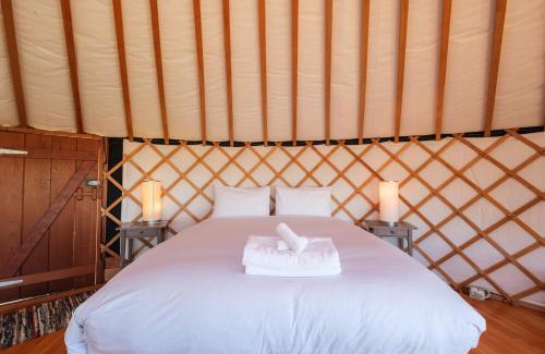 Palm Beach Casa | Awaawa Yurts - Tāne