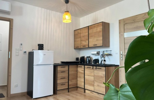 Wolsztyn Apartamento | Impresionante apartamento en Wilcze con.