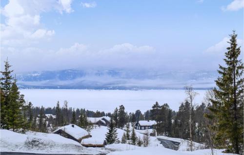 Rauland Casa | Awesome Home In Rauland With Sauna