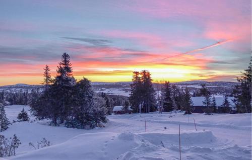 Sjusjoen Casa | Awesome Home In Sjusjøen With Sauna