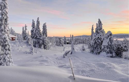 Sjusjoen Casa | Awesome Home In Sjusjøen With Sauna
