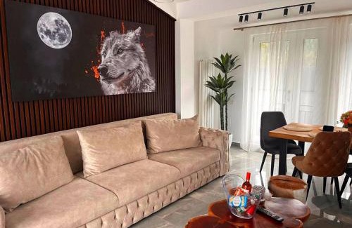 Predeal Apartamento | AYASI Luxury Apartment Predeal