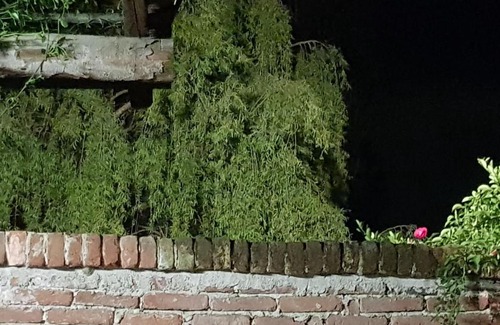 Momo Casa | Az.Agr.Cascina Moretta