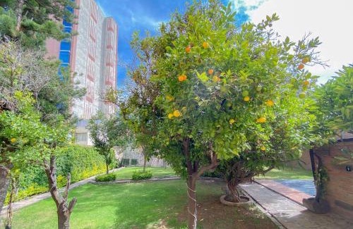 San Luis Potosi Hotel | Azabu Hotel Collection