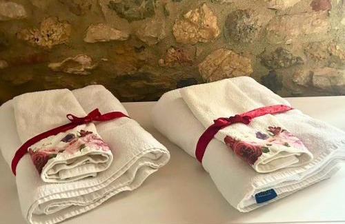 Simignano Apartamento | Azienda agricola il Poggione "il Granaio"
