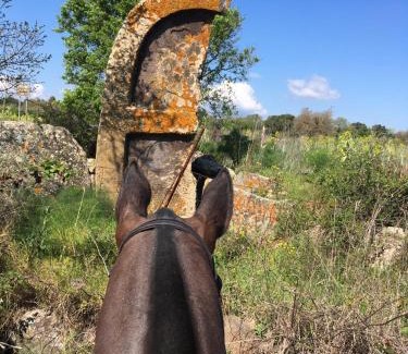Borore Casa | Azienda agricola Affittacamere S'Ispinalba di Laura Pitzolu