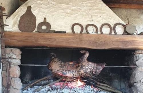 Borore Casa | Azienda agricola Affittacamere S'Ispinalba di Laura Pitzolu