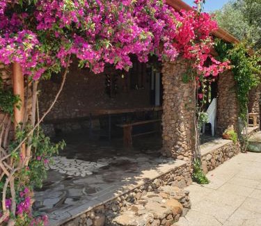 Borore Casa | Azienda agricola Affittacamere S'Ispinalba di Laura Pitzolu