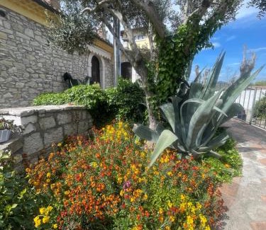 Morcone Casa | Azienda agrituristica Di Fiore