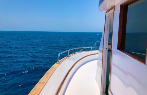 Safaga Alquiler De Eote | Aziz Sea Trips