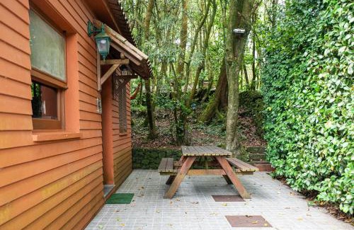 Ponta Delgada Apartamento | Azores Casa da Mata wellness Spa