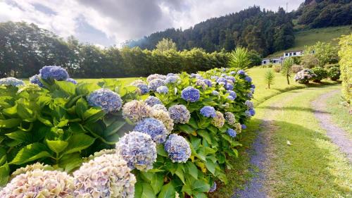 Furnas Casa | Azores Furnas Quinta Do Vale