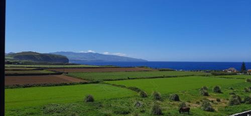 Ribeira Grande Apartamento | Azores Physis Apartment - sea view
