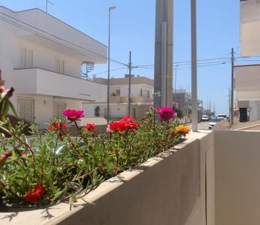 Torre Mozza Apartamento | Azzurro Mare Aparthotel