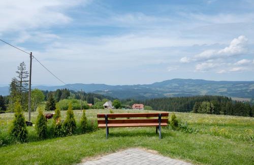 Breitnau Apartamento | Bäuerleshütte