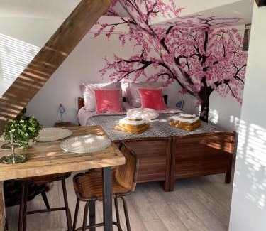 Drachten Apartamento | B&B Bijzonder