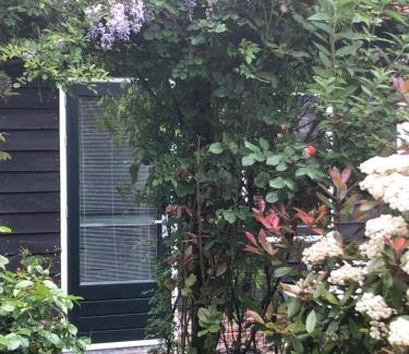 Amsterdam North Cama Y Desayuno | B&B BLoom
