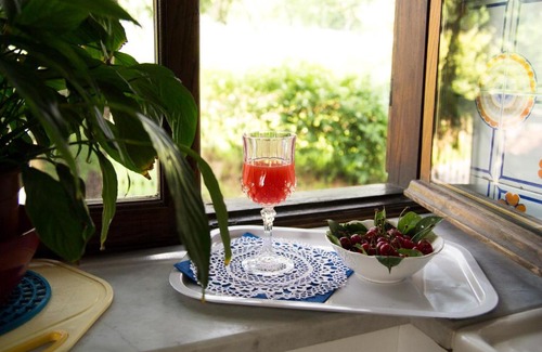Pinerolo Cama Y Desayuno | B&B Casa Carla
