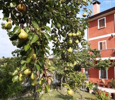 Soligo Cama Y Desayuno | B&B Casa del Conte