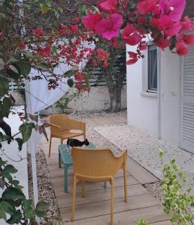 Mattinata Casa | B&B Casrienn