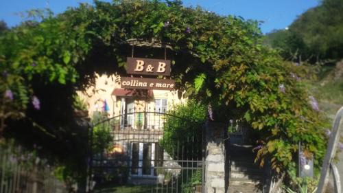 San Lorenzo della Costa Apartamento | B&B collina e mare