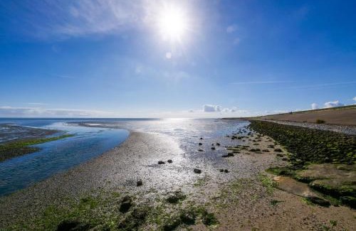 Oosterend Cama Y Desayuno | B&B De Oude Skuur Texel