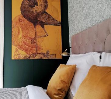 Steenwijk Cama Y Desayuno | B&B De Stadssingel