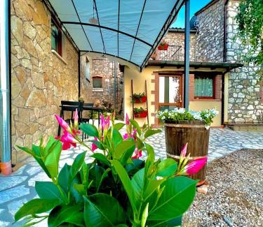 Alviano Cama Y Desayuno | B&B Fontanelle