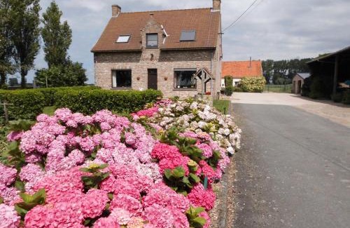 Stalhille Cama Y Desayuno | B&B Het Polderhof