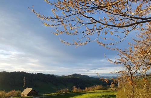 Hasle Cama Y Desayuno | B&B Hof Grosschreie